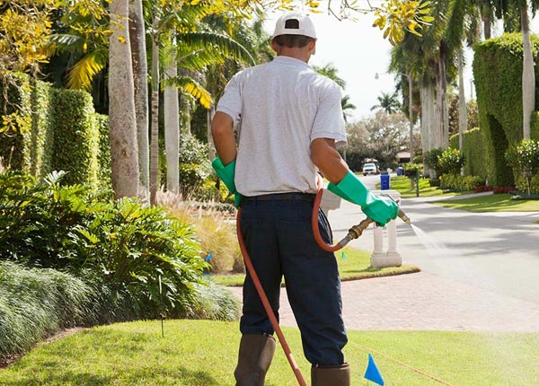 About Wheatfield IN Pest Control Pros
